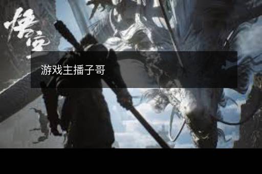 游戏主播子哥
