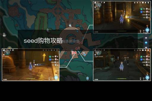seed购物攻略